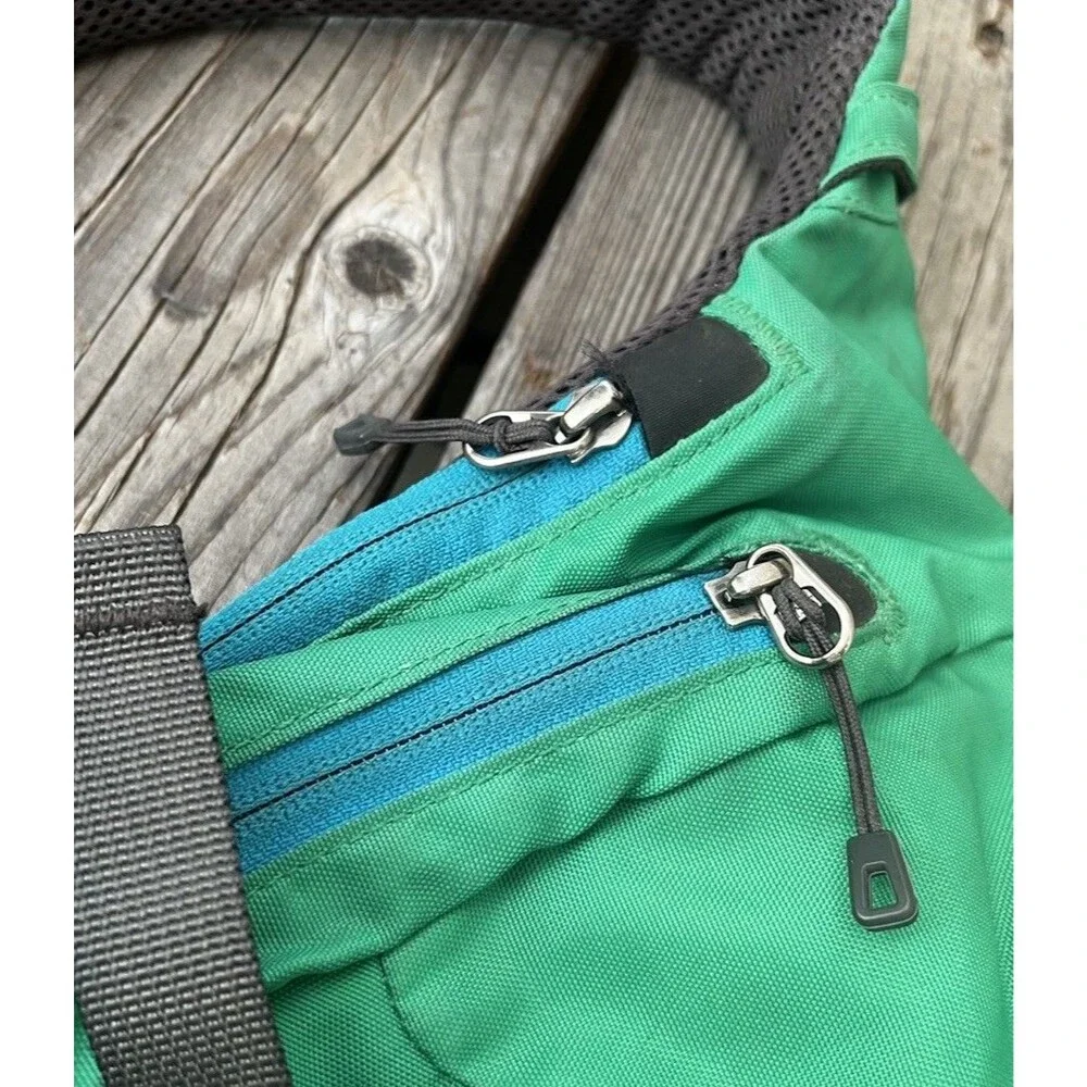 Patagonia 2012 atom